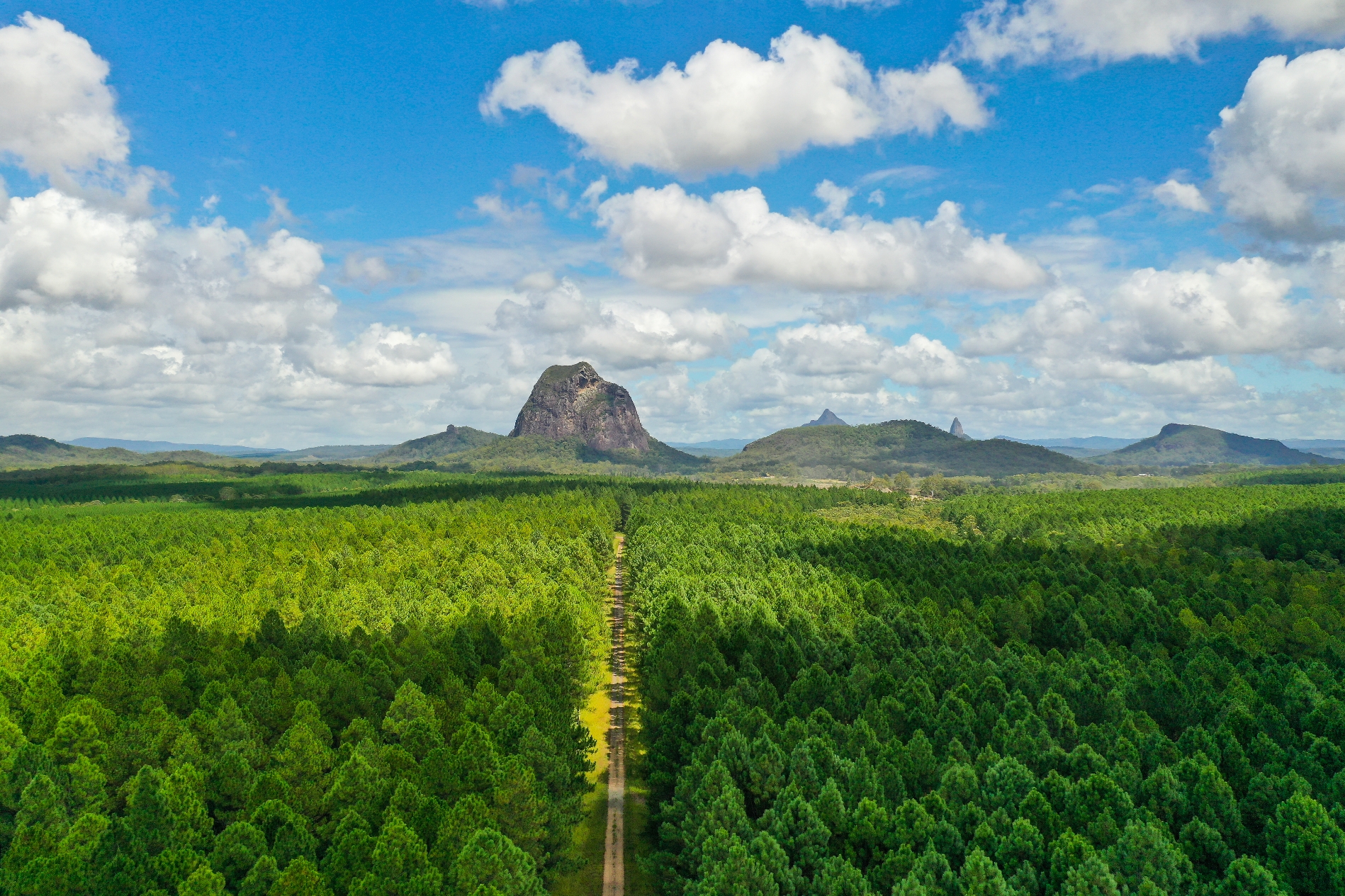 Beauty of HQP’s plantation forest category winner Doug Bazley's image of Mt Tibrogargan