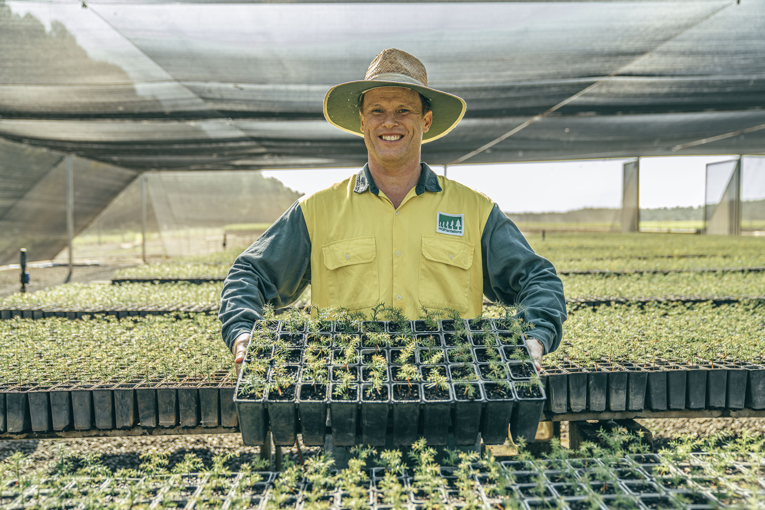Nursery & seed production HQPlantations