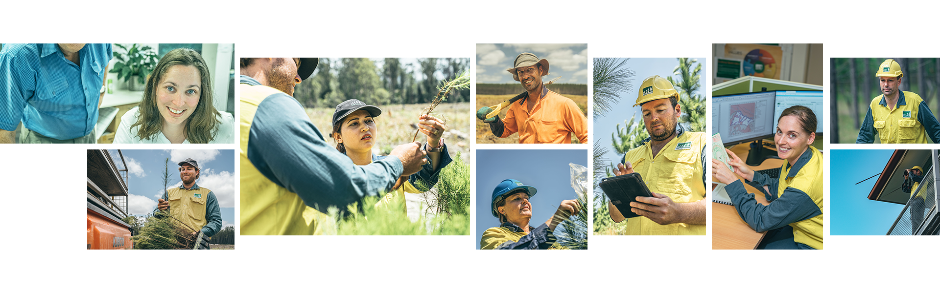 Collage of photos indicating staff in the field and office