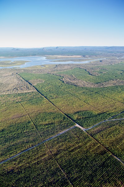 View of Beerburrum plantation forest across the Pumicestone Passage to the Glasshouse Mountains